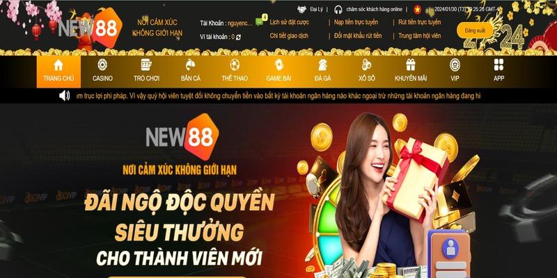 Sân chơi cá cược nhà cái New88 hỗ trợ nhiệt tình