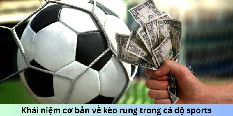 Khái niệm cơ bản về kèo rung trong cá độ sports